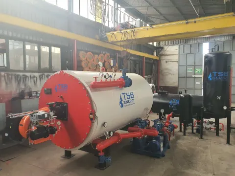 Liquid and gas-fired thermal oil heater 2
