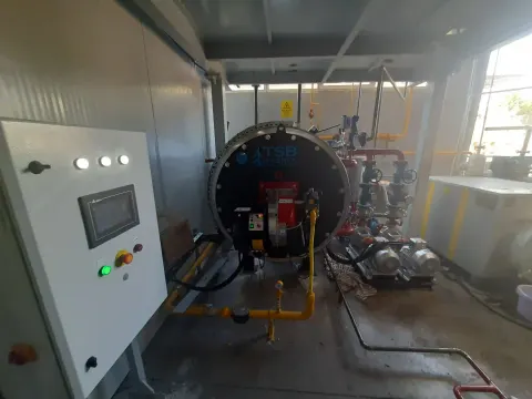 Liquid and gas-fired thermal oil heater 5